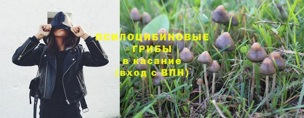 a pvp Арсеньев
